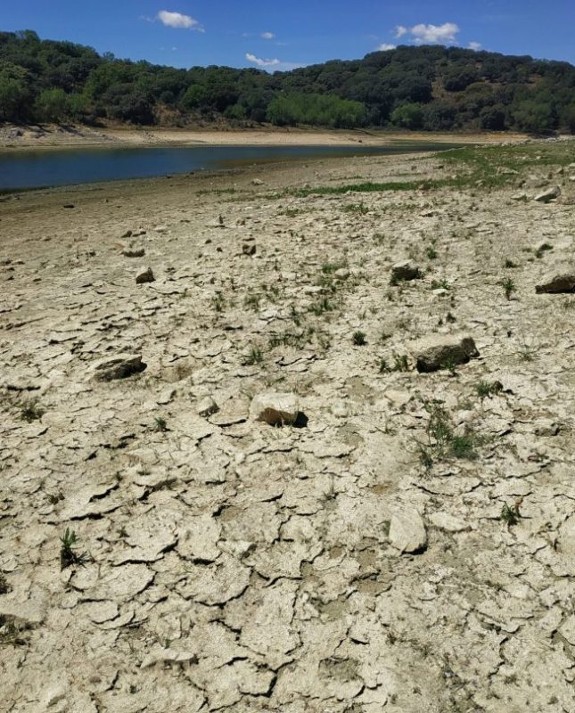 Estado actual del pantano de Pedrezuela en la Sierra Norte de la Comunidad de Madrid. EFE/Lourdes Uquillas