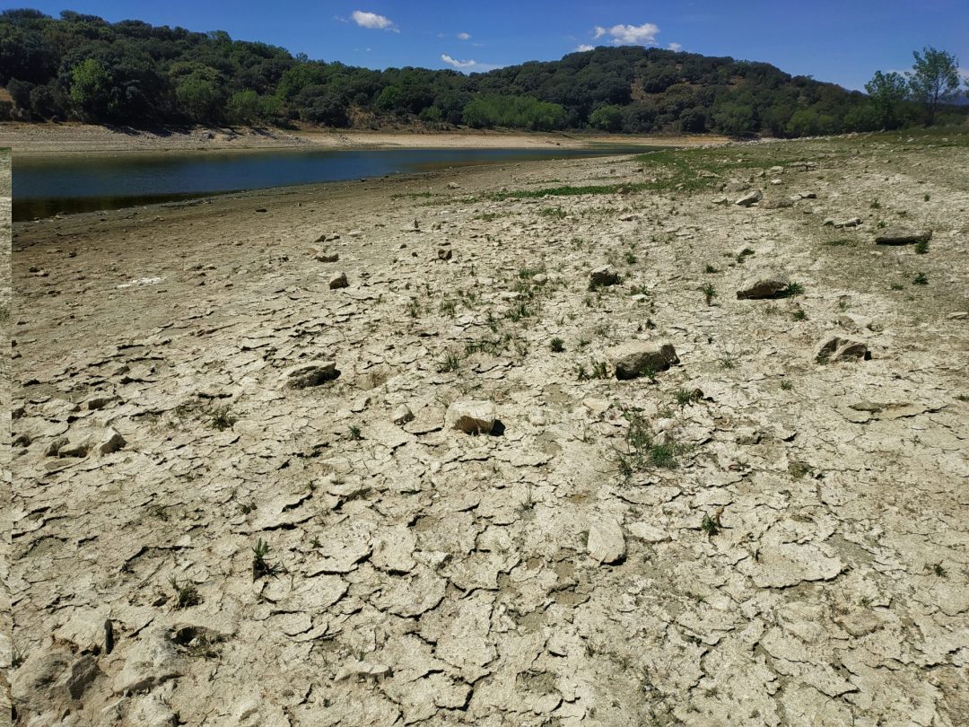 Estado actual del pantano de Pedrezuela en la Sierra Norte de la Comunidad de Madrid. EFE/Lourdes Uquillas