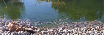 Imagen de una de las lagunas creadas para testar la aguas