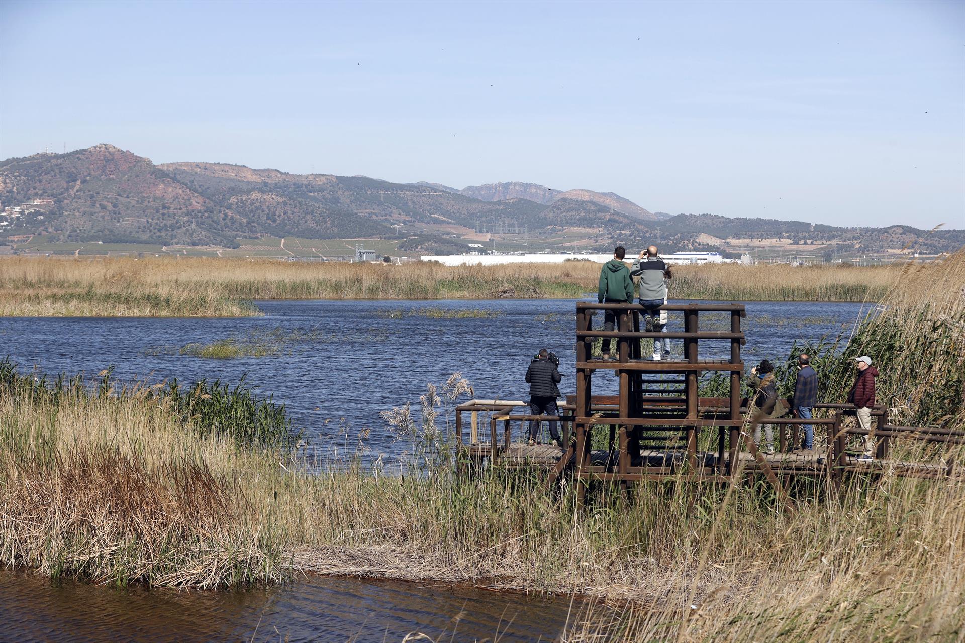 Imagen de un equipo de trabajo del proyecto LIFE es Wetlands4Climate. EFE/J.J.Guillén.
